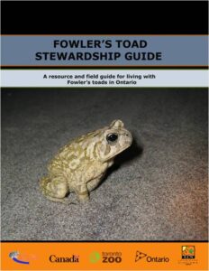 Fowler's Toad Stewardship Guide