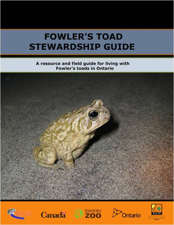 Fowler's Toad Stewardship Guide 2007