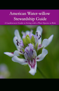 American Water-willow Stewardship Guide