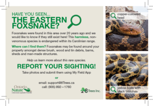 Landowner Information Card - Eastern Foxsnake