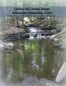 Quebec and Ontario Stream Salamander Stewardship Guide