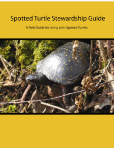 Spotted Turtle Stewardship Guide