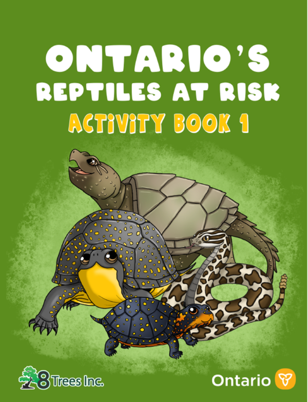 Ontario's Reptiles at Risk Activity Book 1 - PDF download