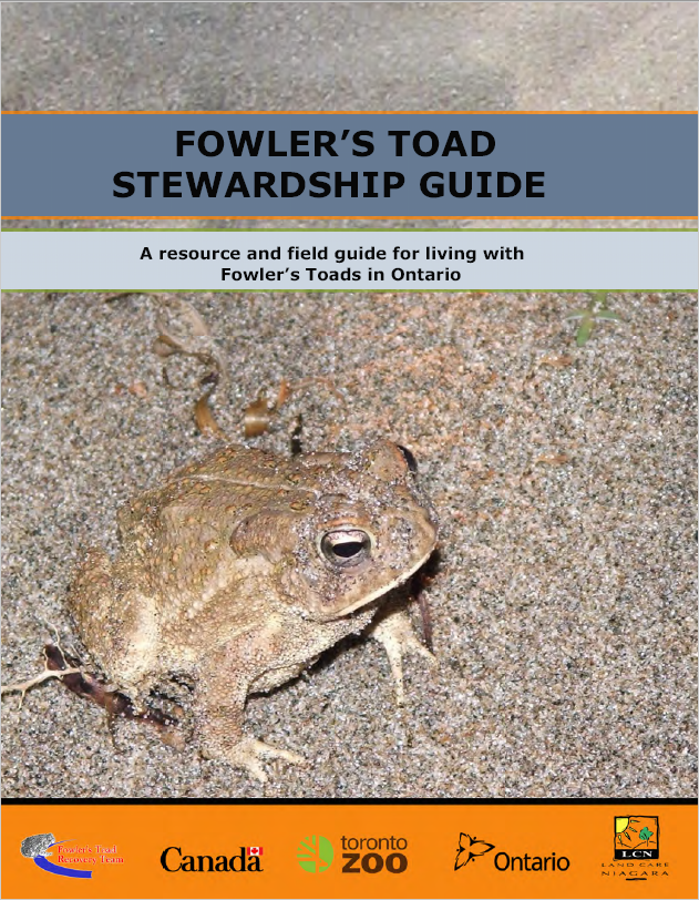 Fowler's Toad Stewardship Guide 2017