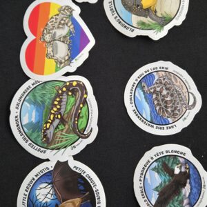 5 kiss-cut stickers for $10